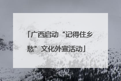 广西启动“记得住乡愁”文化外宣活动