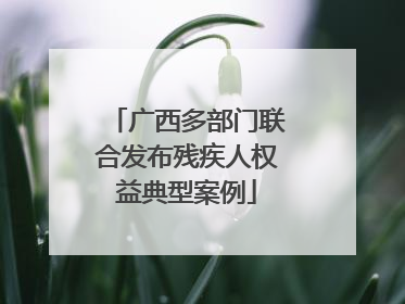 广西多部门联合发布残疾人权益典型案例