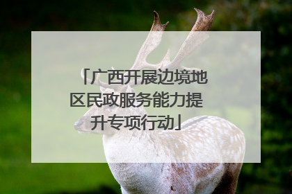 广西开展边境地区民政服务能力提升专项行动