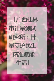广西桂林市计量测试研究所：计量守护民生 精准赋能生活