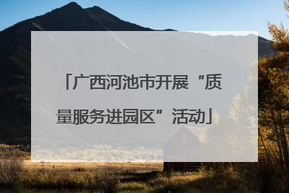 广西河池市开展“质量服务进园区”活动