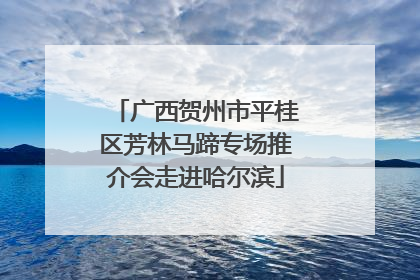 广西贺州市平桂区芳林马蹄专场推介会走进哈尔滨