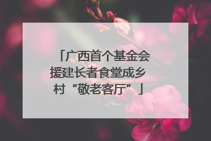 广西首个基金会援建长者食堂成乡村“敬老客厅”