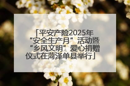 平安产险2025年“安全生产月”活动暨“乡风文明”爱心捐赠仪式在菏泽单县举行