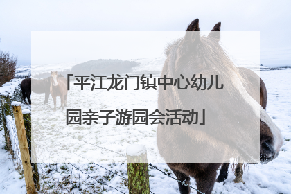 平江龙门镇中心幼儿园亲子游园会活动