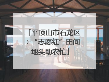 平顶山市石龙区：“志愿红”田间地头助农忙