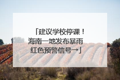 建议学校停课！海南一地发布暴雨红色预警信号→