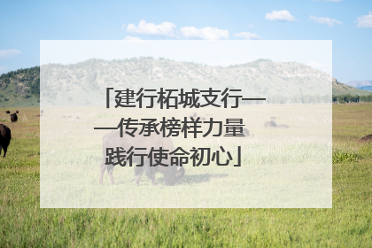 建行柘城支行——传承榜样力量 践行使命初心