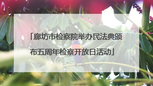 廊坊市检察院举办民法典颁布五周年检察开放日活动