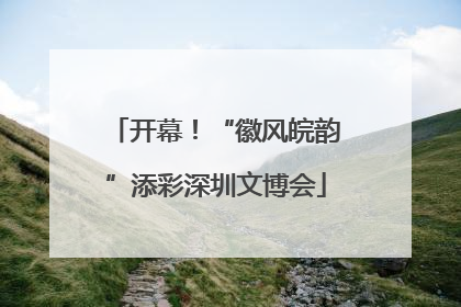 开幕！“徽风皖韵”添彩深圳文博会