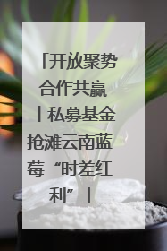 开放聚势 合作共赢丨私募基金抢滩云南蓝莓“时差红利”
