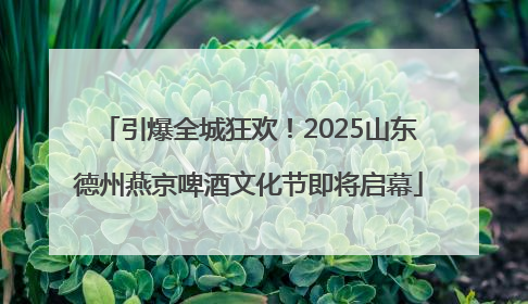 引爆全城狂欢！2025山东德州燕京啤酒文化节即将启幕