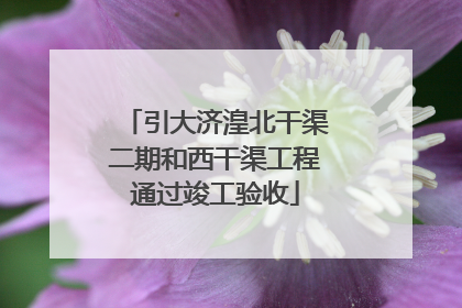 引大济湟北干渠二期和西干渠工程通过竣工验收