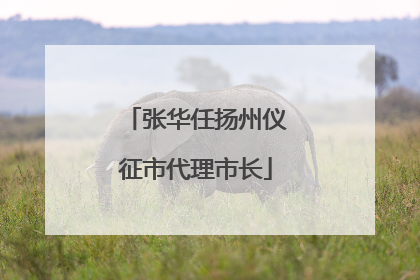 张华任扬州仪征市代理市长