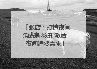 张店：打造夜间消费新场景 激活夜间消费需求