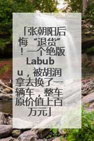 张朝阳后悔“退货”！一个绝版Labubu，被胡润拿去换了一辆车，整车原价值上百万元
