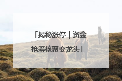 揭秘涨停｜资金抢筹核聚变龙头