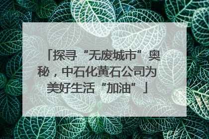 探寻“无废城市”奥秘，中石化黄石公司为美好生活“加油”