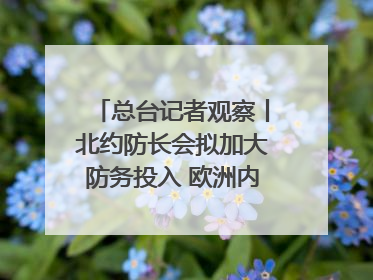 总台记者观察丨北约防长会拟加大防务投入 欧洲内部分歧难掩