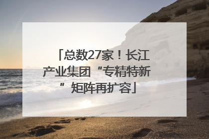 总数27家！长江产业集团“专精特新”矩阵再扩容