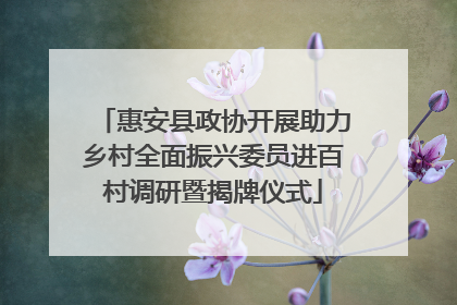 惠安县政协开展助力乡村全面振兴委员进百村调研暨揭牌仪式