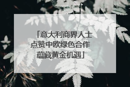 意大利商界人士点赞中欧绿色合作蕴藏黄金机遇