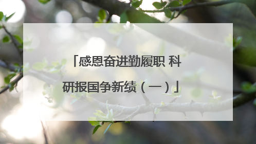 感恩奋进勤履职 科研报国争新绩（一）