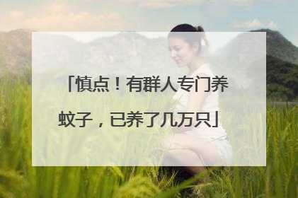 慎点！有群人专门养蚊子，已养了几万只