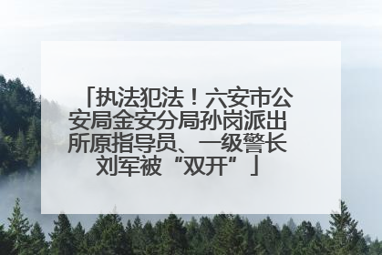 执法犯法！六安市公安局金安分局孙岗派出所原指导员、一级警长刘军被“双开”
