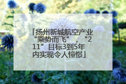 扬州新城航空产业“乘势而飞”，“211”目标3到5年内实现令人憧憬
