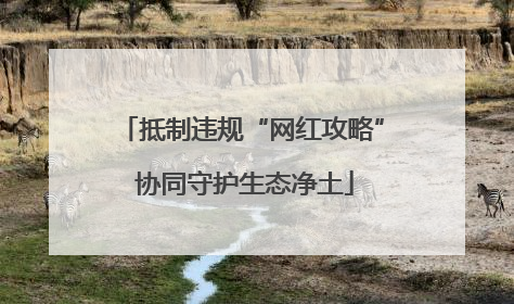 抵制违规“网红攻略” 协同守护生态净土