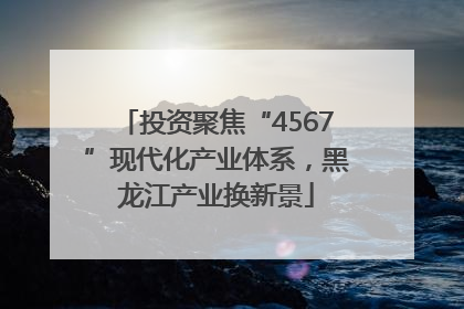 投资聚焦“4567”现代化产业体系，黑龙江产业换新景