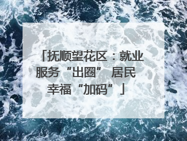 抚顺望花区：就业服务“出圈” 居民幸福“加码”