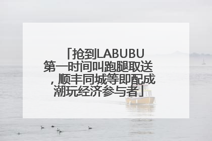 抢到LABUBU第一时间叫跑腿取送，顺丰同城等即配成潮玩经济参与者