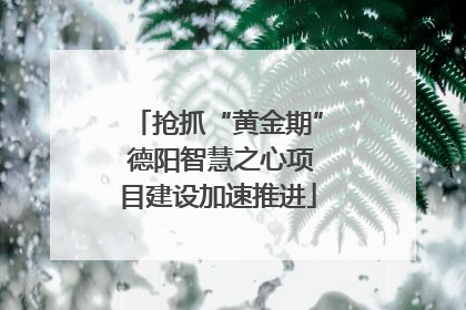 抢抓“黄金期” 德阳智慧之心项目建设加速推进