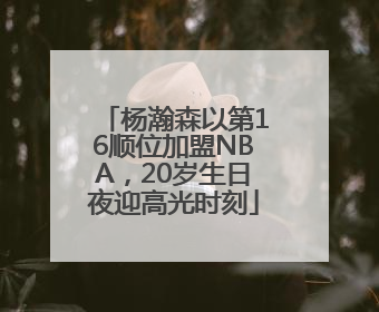 杨瀚森以第16顺位加盟NBA，20岁生日夜迎高光时刻