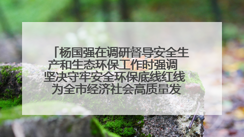 杨国强在调研督导安全生产和生态环保工作时强调 坚决守牢安全环保底线红线 为全市经济社会高质量发展提供坚强保障