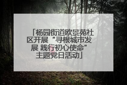 杨园街道欧景苑社区开展“寻根城市发展 践行初心使命”主题党日活动