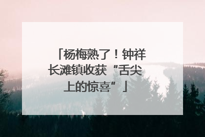 杨梅熟了！钟祥长滩镇收获“舌尖上的惊喜”