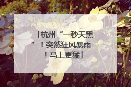杭州“一秒天黑”！突然狂风暴雨！马上更猛