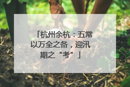 杭州余杭：五常以万全之备，迎汛期之“考”