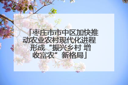 枣庄市市中区加快推动农业农村现代化进程 形成“振兴乡村 增收富农”新格局