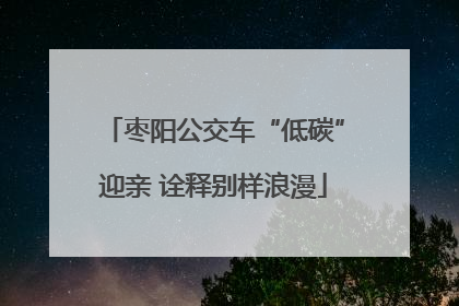 枣阳公交车“低碳”迎亲 诠释别样浪漫