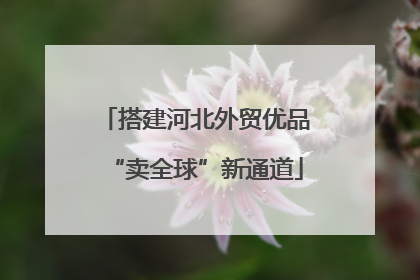 搭建河北外贸优品“卖全球”新通道