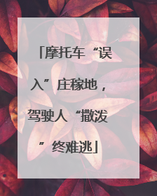 摩托车“误入”庄稼地，驾驶人“撒泼”终难逃