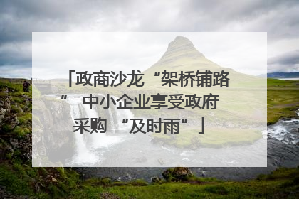 政商沙龙“架桥铺路” 中小企业享受政府采购 “及时雨”