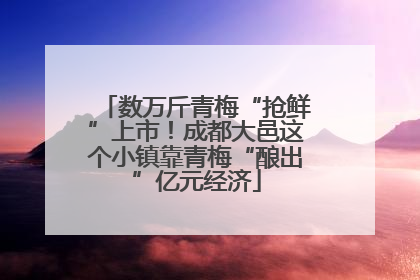数万斤青梅“抢鲜”上市！成都大邑这个小镇靠青梅“酿出”亿元经济