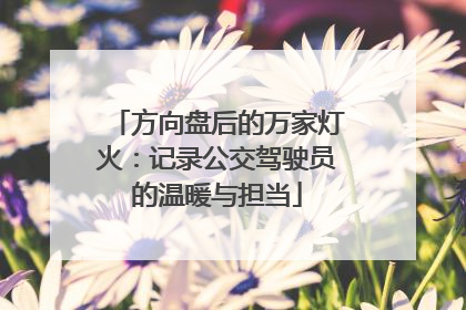 方向盘后的万家灯火：记录公交驾驶员的温暖与担当