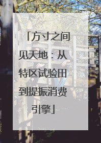 方寸之间见天地：从特区试验田到提振消费引擎