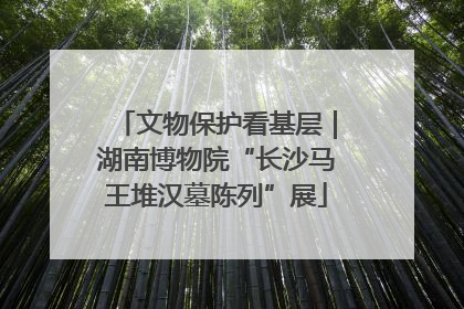 文物保护看基层｜湖南博物院“长沙马王堆汉墓陈列”展